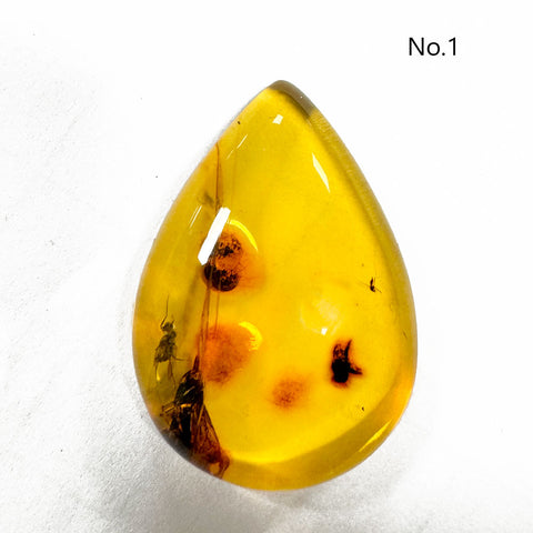 Fossil Amber Drop Shape Cabochons With Insects