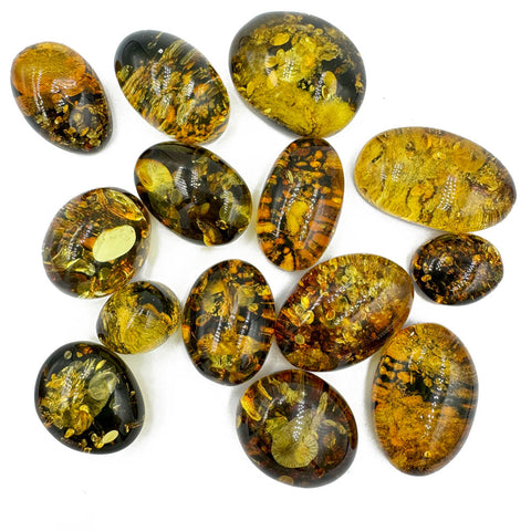 "Earth Stone" Green Amber Free Shape Cabochons