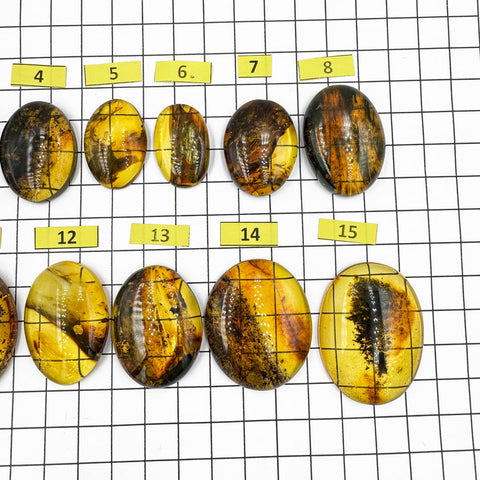 Fossil Amber Free Shape Cabochons