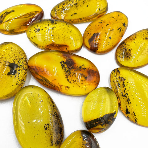 Fossil Amber Free Shape Cabochons