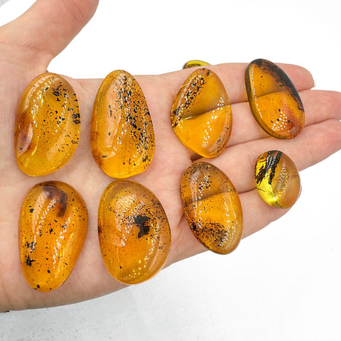 Fossil Amber Free Shape Cabochons