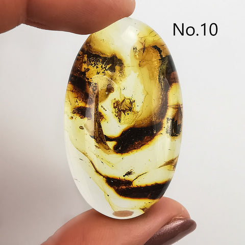 Natural Amber Free Shape Cabochons With Insects