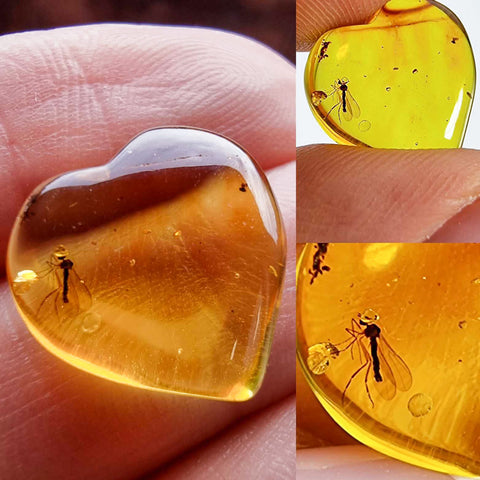 Natural Amber Puffed Heart Shape Stone With Insects