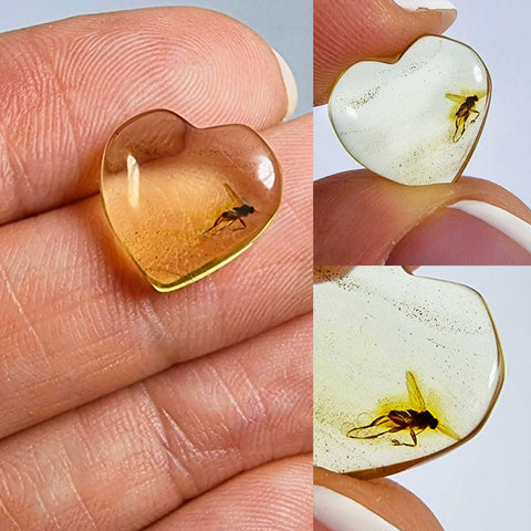 Natural Amber Puffed Heart Shape Stone With Insects