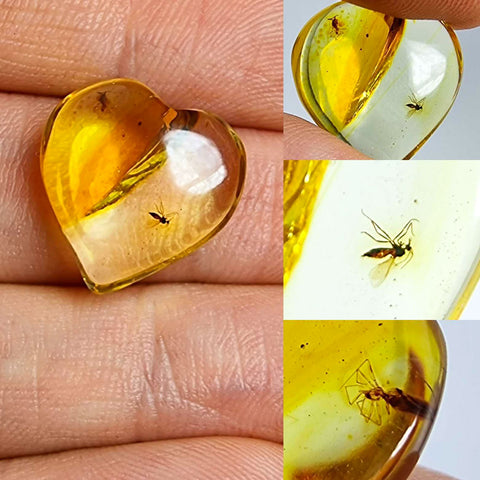 Natural Amber Puffed Heart Shape Stone With Insects