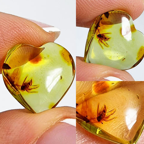 Natural Amber Puffed Heart Shape Stone With Insects