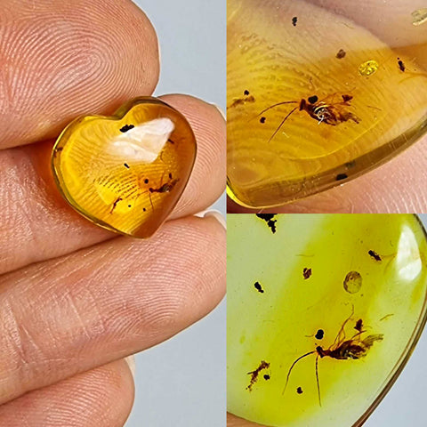 Natural Amber Puffed Heart Shape Stone With Insects