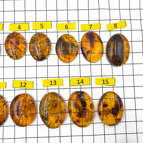 Cognac Amber Free Shape Cabochons