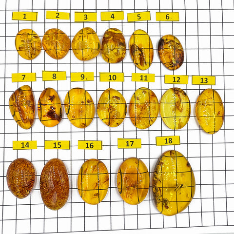 Light Cognac Amber Free Shape Cabochons