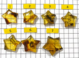 Fossil Amber Star Shape Cabochons