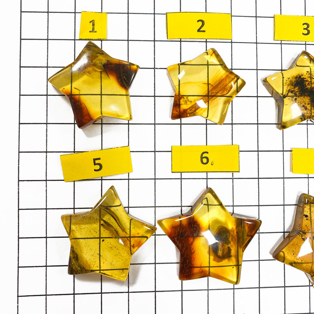 Fossil Amber Star Shape Cabochons