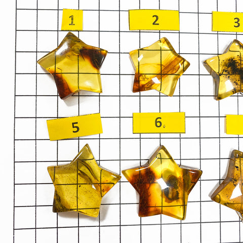 Fossil Amber Star Shape Cabochons