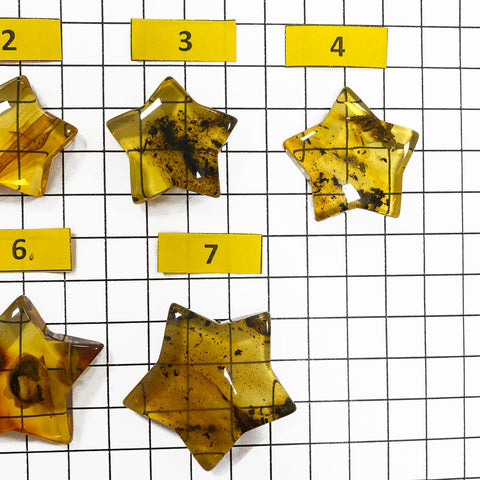 Fossil Amber Star Shape Cabochons