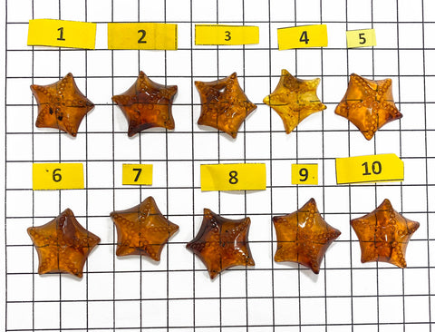 Cognac Amber Carved Starfish Cabochon