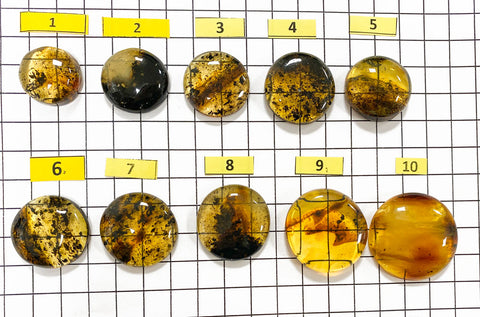 Fossil Amber Free Shape Round Cabochons