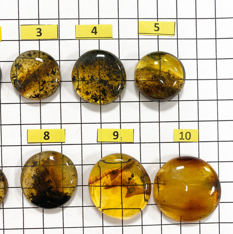 Fossil Amber Free Shape Round Cabochons