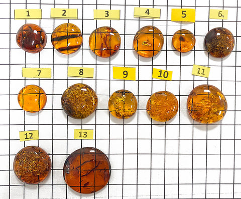 Cognac Amber Free Shape Round Cabochons