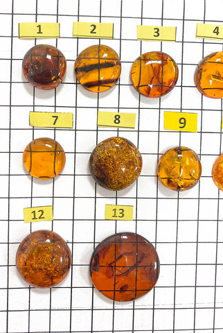 Cognac Amber Free Shape Round Cabochons