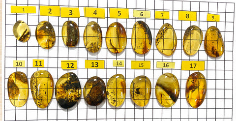 Fossil Amber Free Shape Cabochons