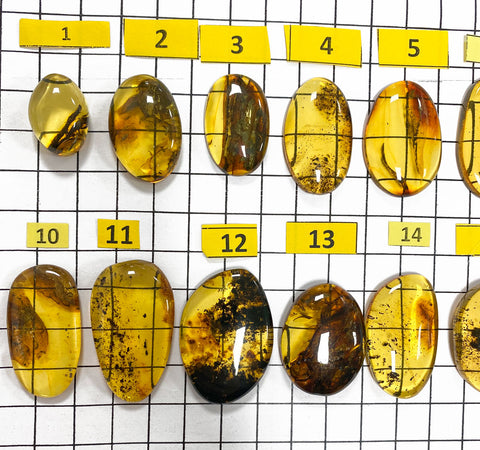 Fossil Amber Free Shape Cabochons