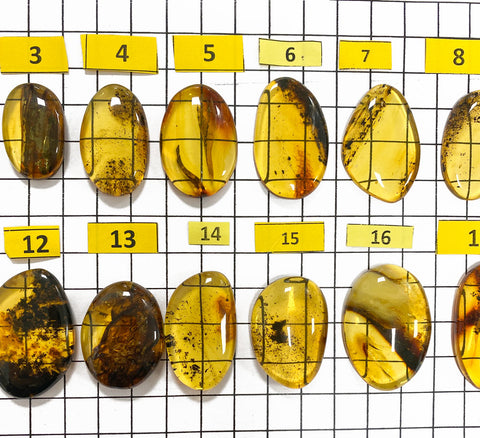 Fossil Amber Free Shape Cabochons