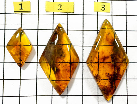 Natural Amber Rhombus Cabochon With Insects