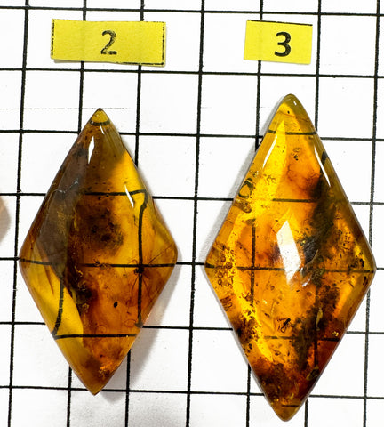 Natural Amber Rhombus Cabochon With Insects