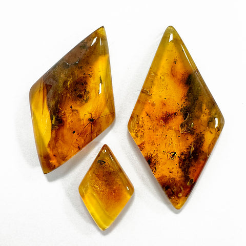 Natural Amber Rhombus Cabochon With Insects