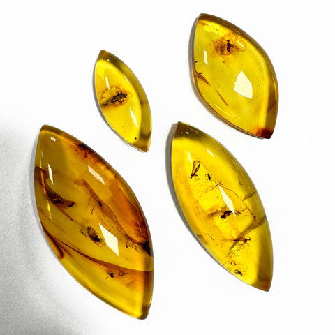 Natural Amber Marquise Cabochon With Insects