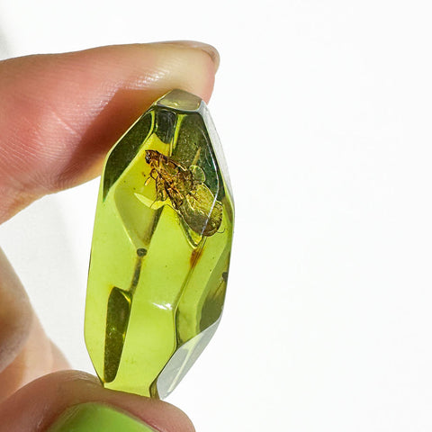 Crystal Cut Green color Stone With Insects