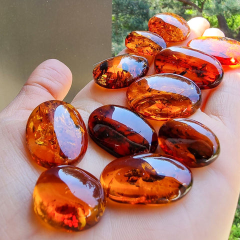 Cognac Amber Free Shape Cabochons Set