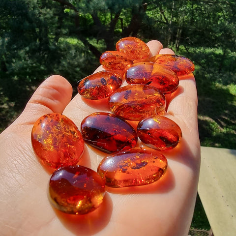 Cognac Amber Free Shape Cabochons Set