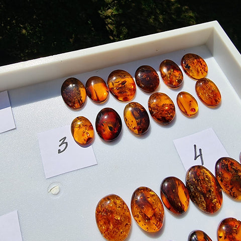 Cognac Amber Free Shape Cabochons Set