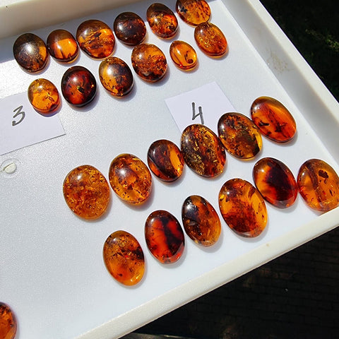 Cognac Amber Free Shape Cabochons Set