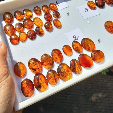 Cognac Amber Free Shape Cabochons Set