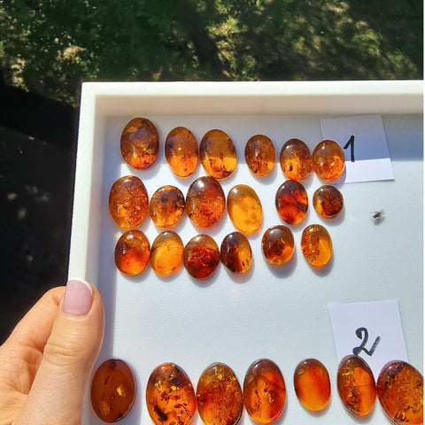 Cognac Amber Free Shape Cabochons Set