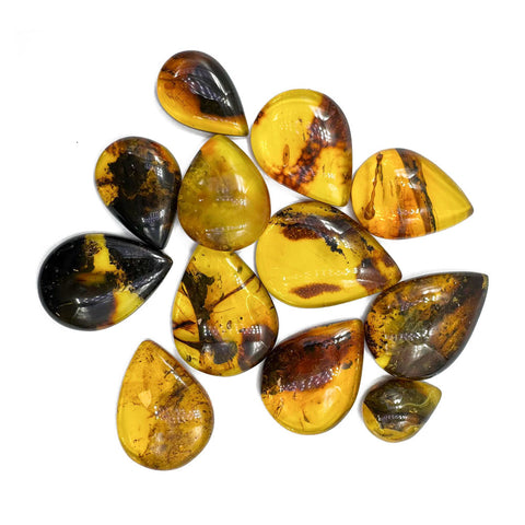 Fossil Amber Handmade Drop Cabochons