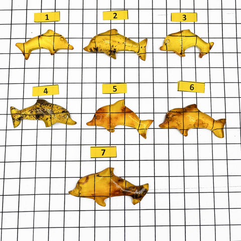 Fossil Amber Handmade Carved Dolphin Cabochons