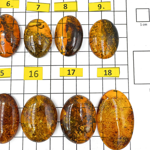 Cognac Amber Free Shape Cabochons