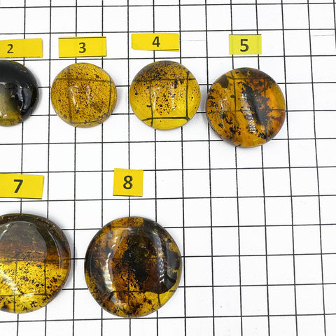 Fossil Amber Free Shape Round Cabochons