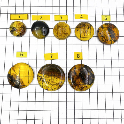 Fossil Amber Free Shape Round Cabochons