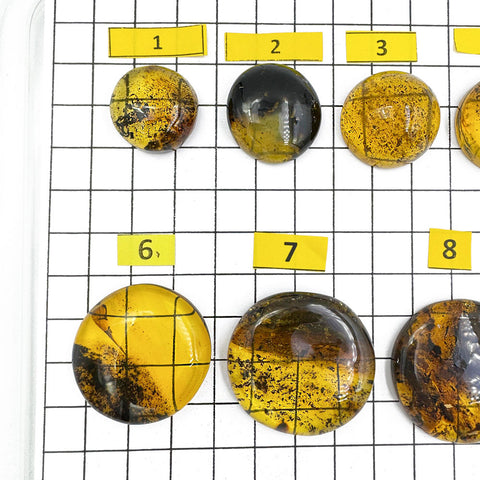 Fossil Amber Free Shape Round Cabochons
