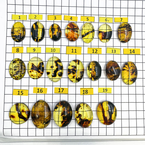 Fossil Amber Free Shape Cabochons