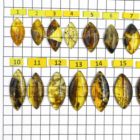 Fossil Amber Marquise Shape Cabochons
