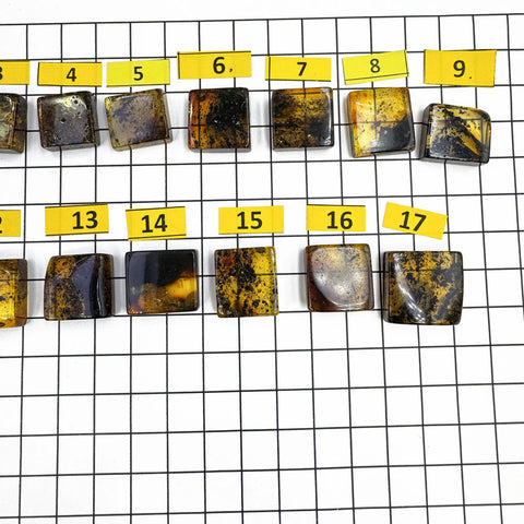 Fossil Amber Rectangular Free Shape Cabochons