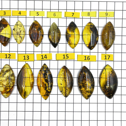 Fossil Amber Marquise Shape Cabochons