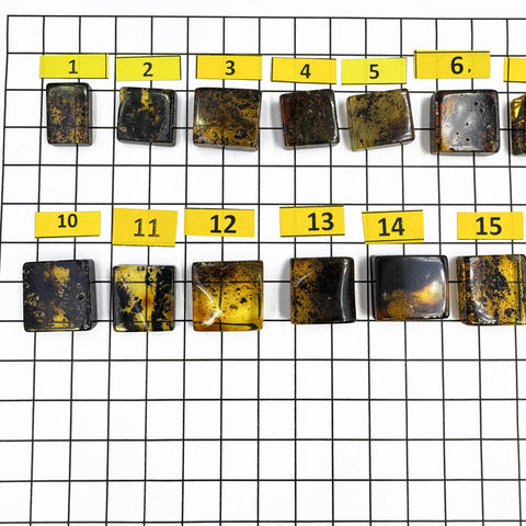 Fossil Amber Rectangular Free Shape Cabochons