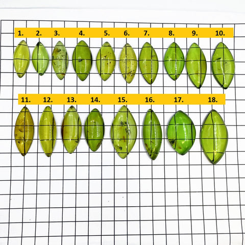 Green Amber Handmade Marquise Shape Cabochons