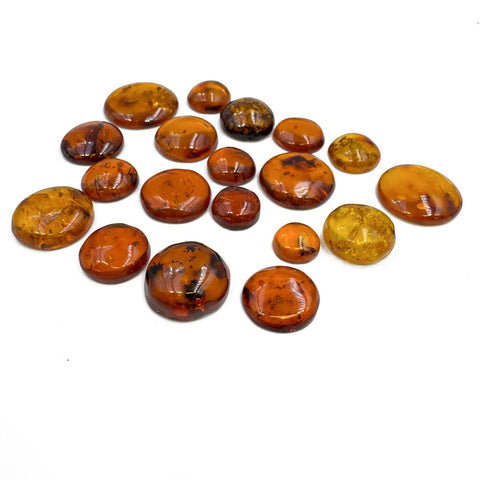 Cognac Amber Free Shape Round Cabochons