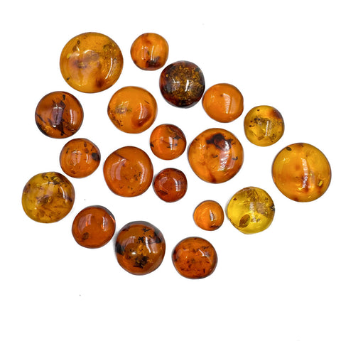 Cognac Amber Free Shape Round Cabochons